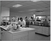 上海中科药业项目